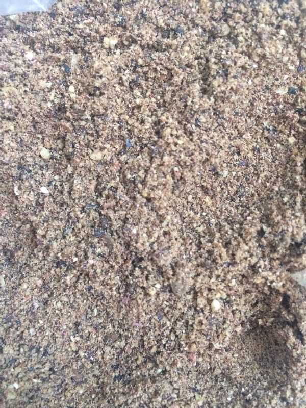 Cashew nut meal